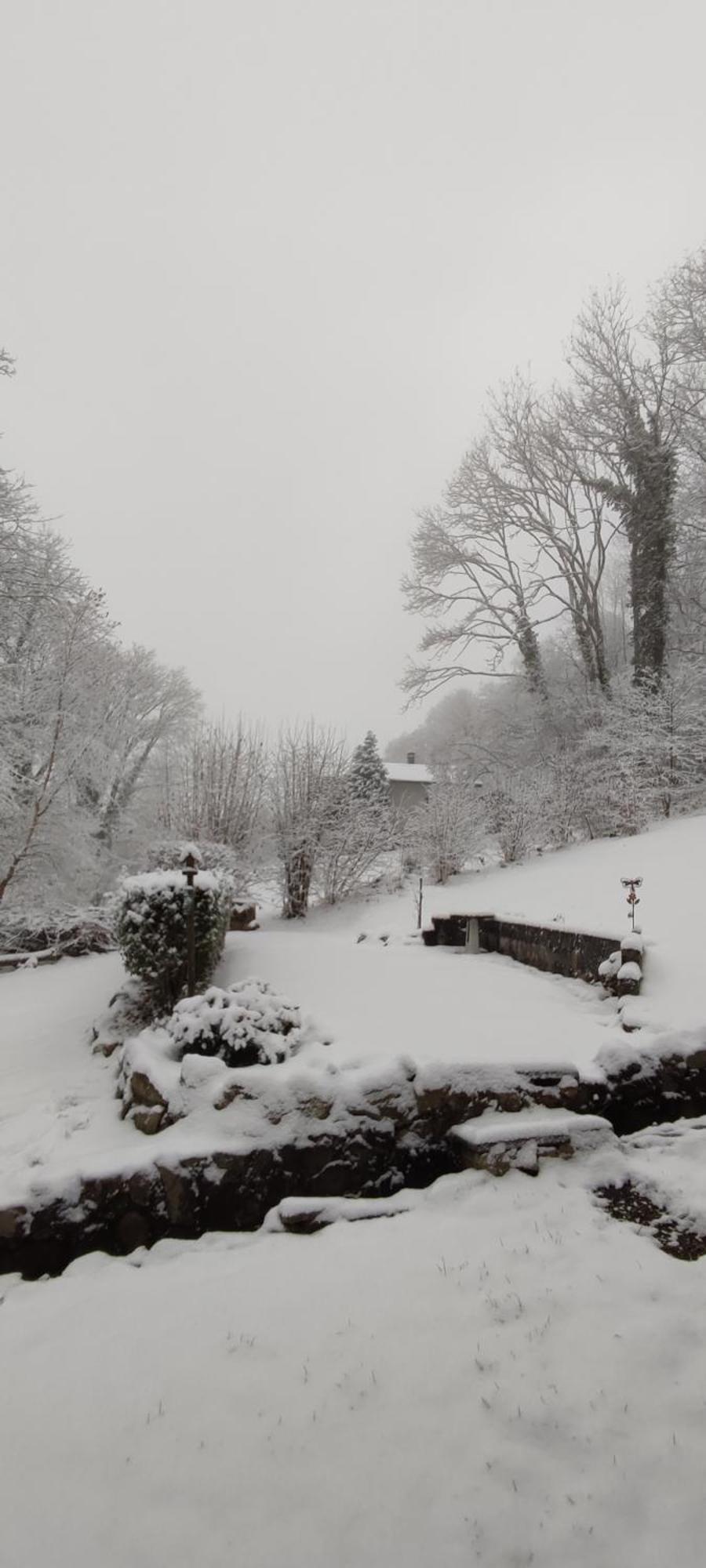 Un Air D'Alsace Villa Rimbach-pres-Guebwiller Bagian luar foto